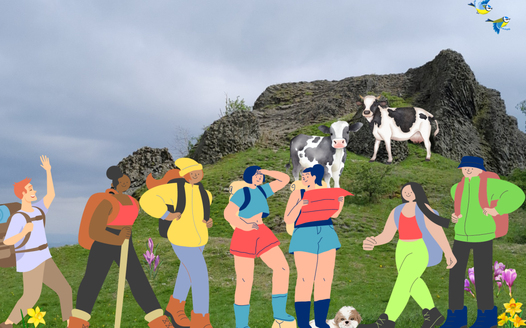 Wandern auf dem Alpenpfad / Dörnberg