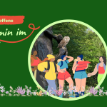 Wanderung zu den Eulenbäumen im Kaufunger Wald