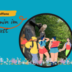 Wanderung zu den Eulenbäumen im Kaufunger Wald