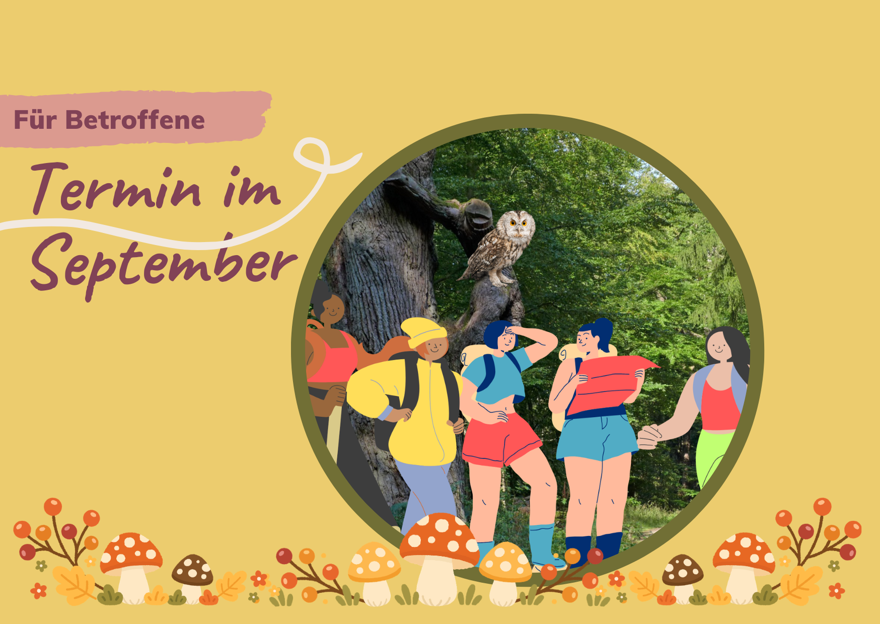 Wanderung zu den Eulenbäumen im Kaufunger Wald